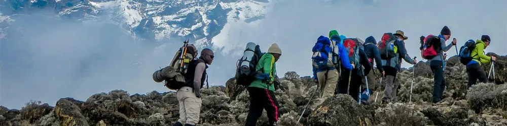 Group of people hiking Kilimanjaro Lemosho route